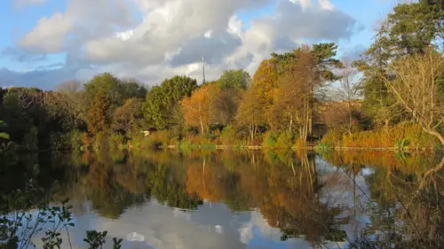 South Norwood Lake